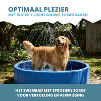 Coolpets Splash Sprinkler Pool
