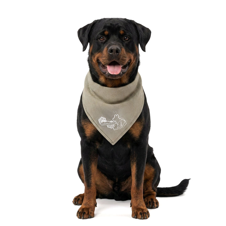 
  Coolpets Cooling Bandana Beige L - artikelnummer COOL030L

