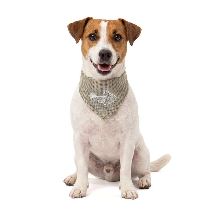 
  Coolpets Cooling Bandana Beige S - artikelnummer COOL030S
