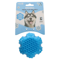 Coolpets Ice Ball