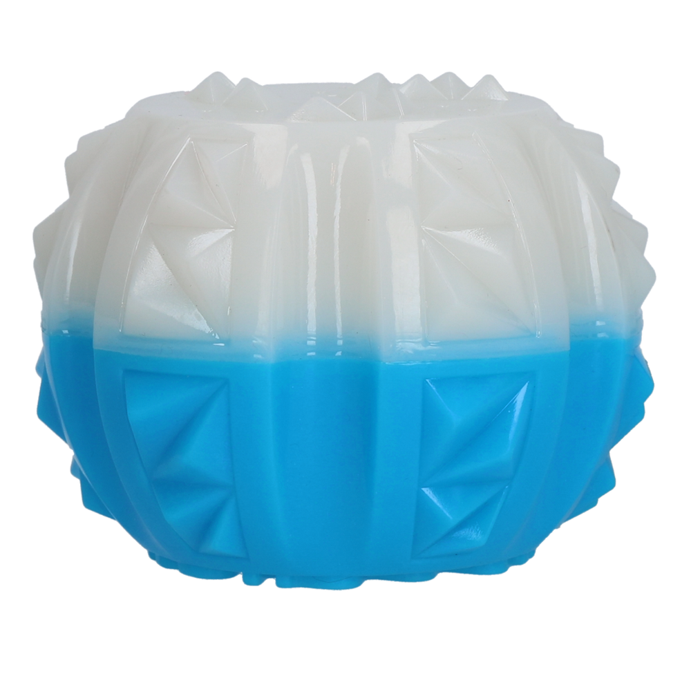 Coolpets Ice Ball