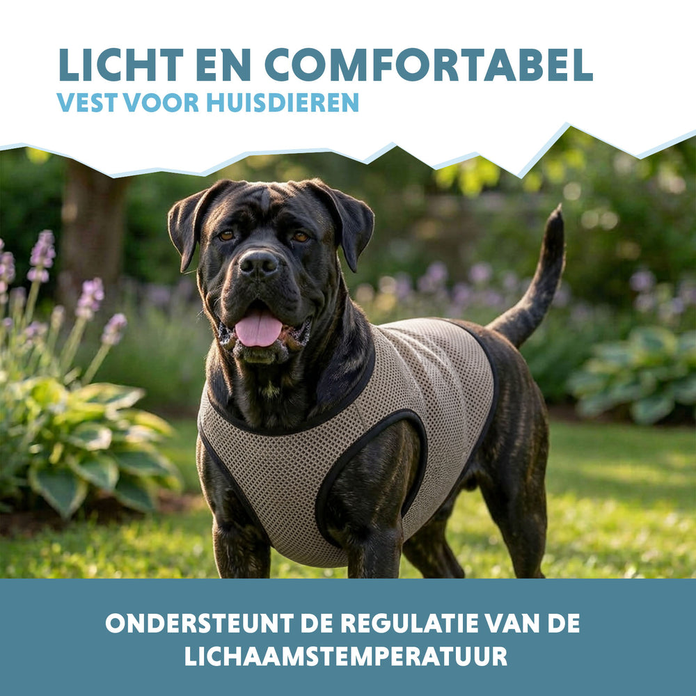 Coolpets Cooling Vest XL (back size 40 cm)