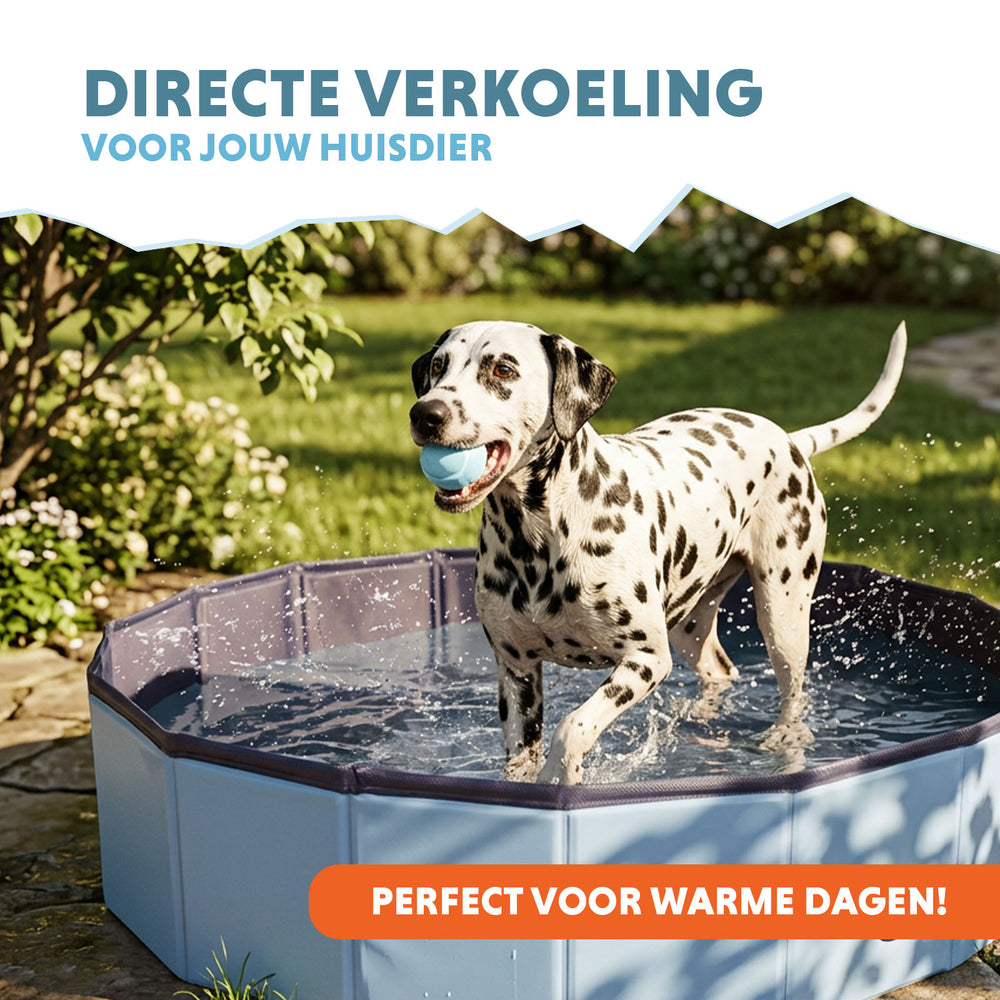 CoolPets Splash Dog Pool ø 100 x 30 cm