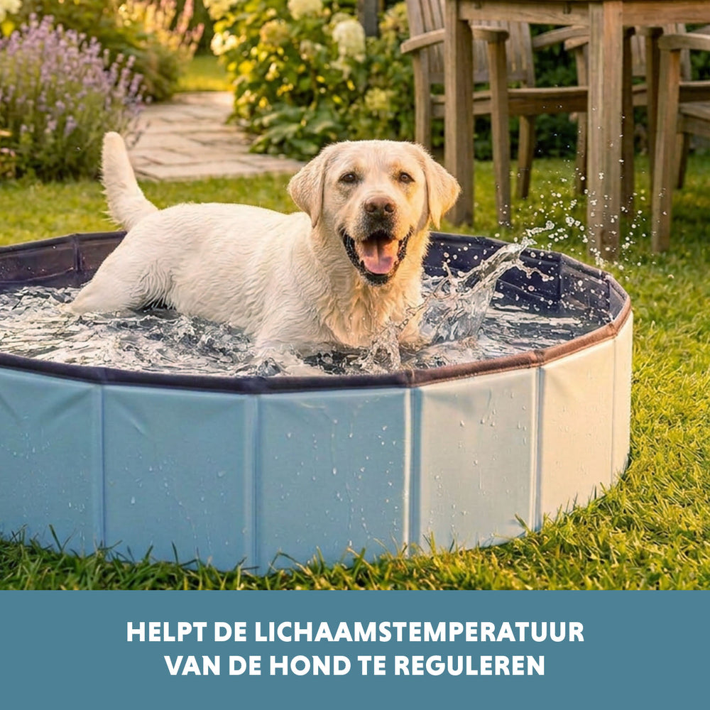 CoolPets Splash Dog Pool ø 100 x 30 cm