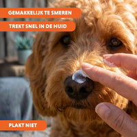 CoolPets Sunblock Creme