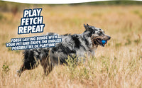 Chuckit! Ultra Squeaker Ball S (2-pack)