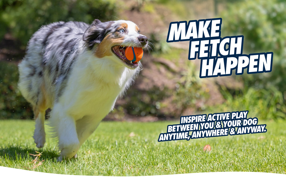 Chuckit! Fetch Ball M (2-pack)