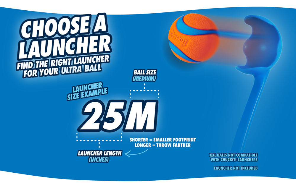 Chuckit! Fetch Ball L