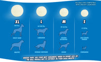Chuckit! Max Glow Ultra Squeaker Ball M