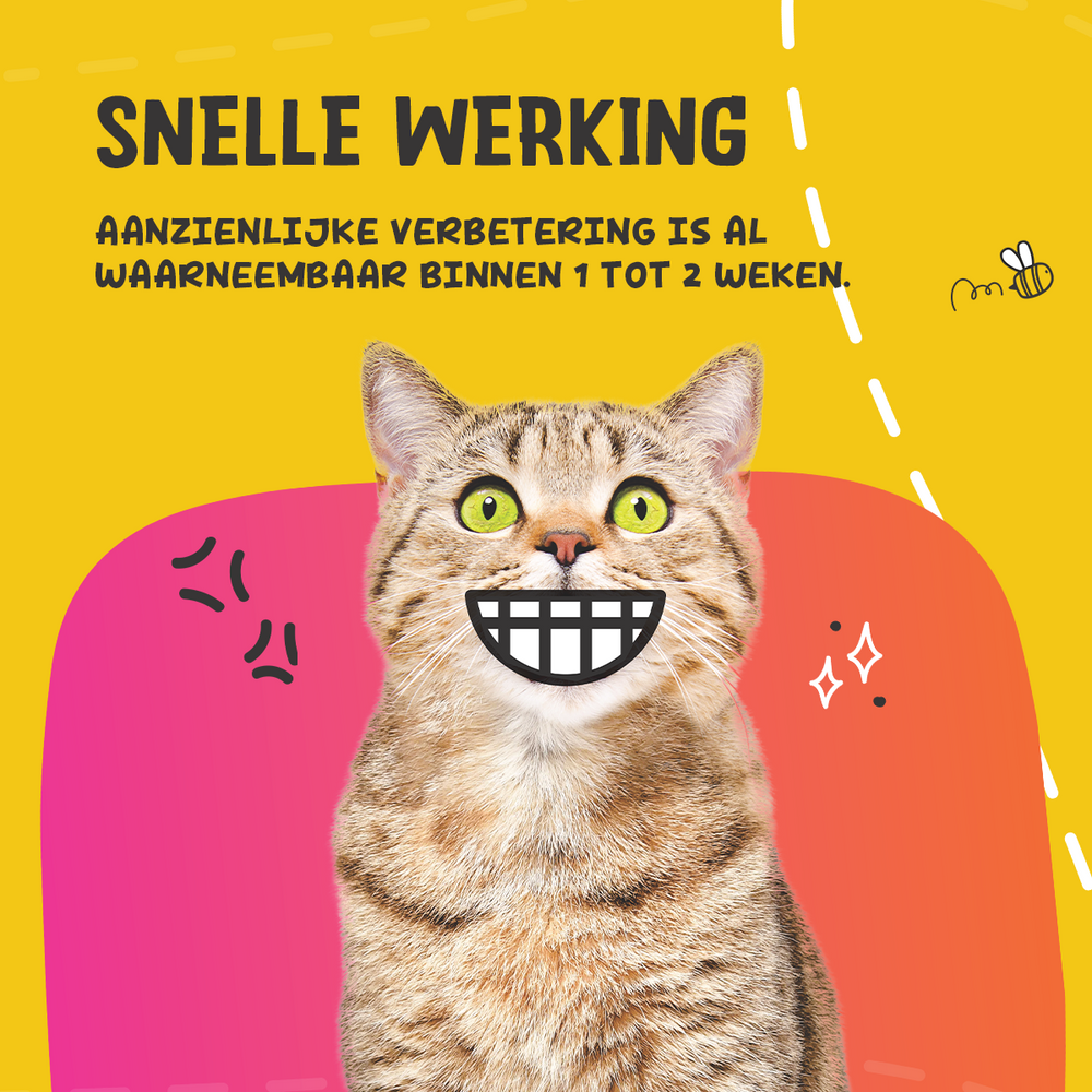Excellent Pets Dental Oral Care 60 g