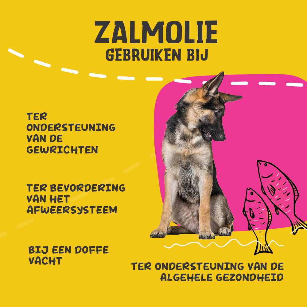 Excellent Pets Dog Salmon Oil 1000 ml
