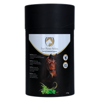 Excellent Horse Parex 1,5 kg
