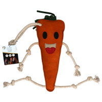 Excellent Horse Foodie Friends Carrot