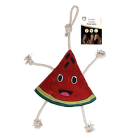 Excellent Horse Foodie Friends Watermelon