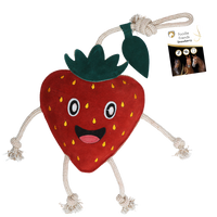 Excellent Horse Foodie Friends Strawberry
