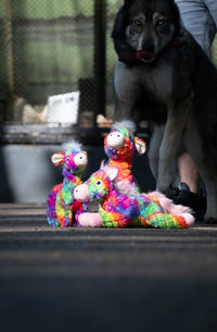 FantaZoo Leopard - L