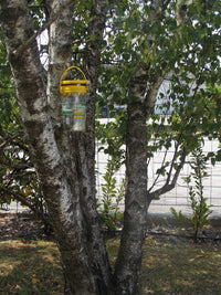 Flybuster Garden Trap