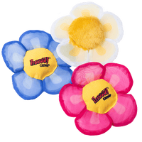 Yeowww! Display Strip Daisy's Flower Top 12 st.