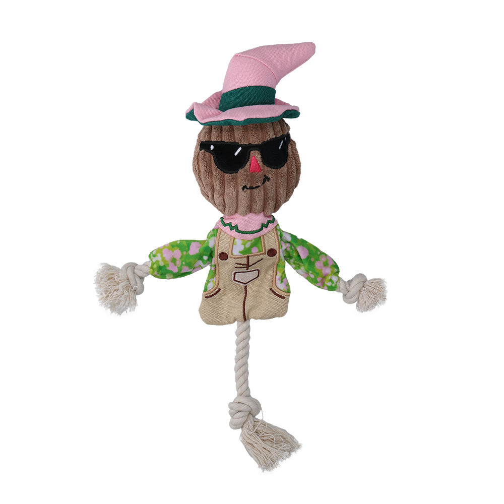 Garden Paws Scarecrow Scary Harry S