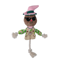 Garden Paws Scarecrow Scary Harry S