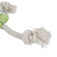 Garden Paws Scarecrow Indy Fields S