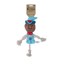 Garden Paws Scarecrow Calvin Crow S