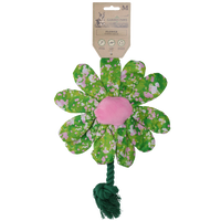 Garden Paws Flower Summer Shrubs M