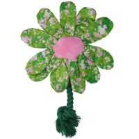 Garden Paws Flower Summer Shrubs M