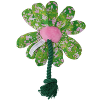 Garden Paws Flower Summer Shrubs M