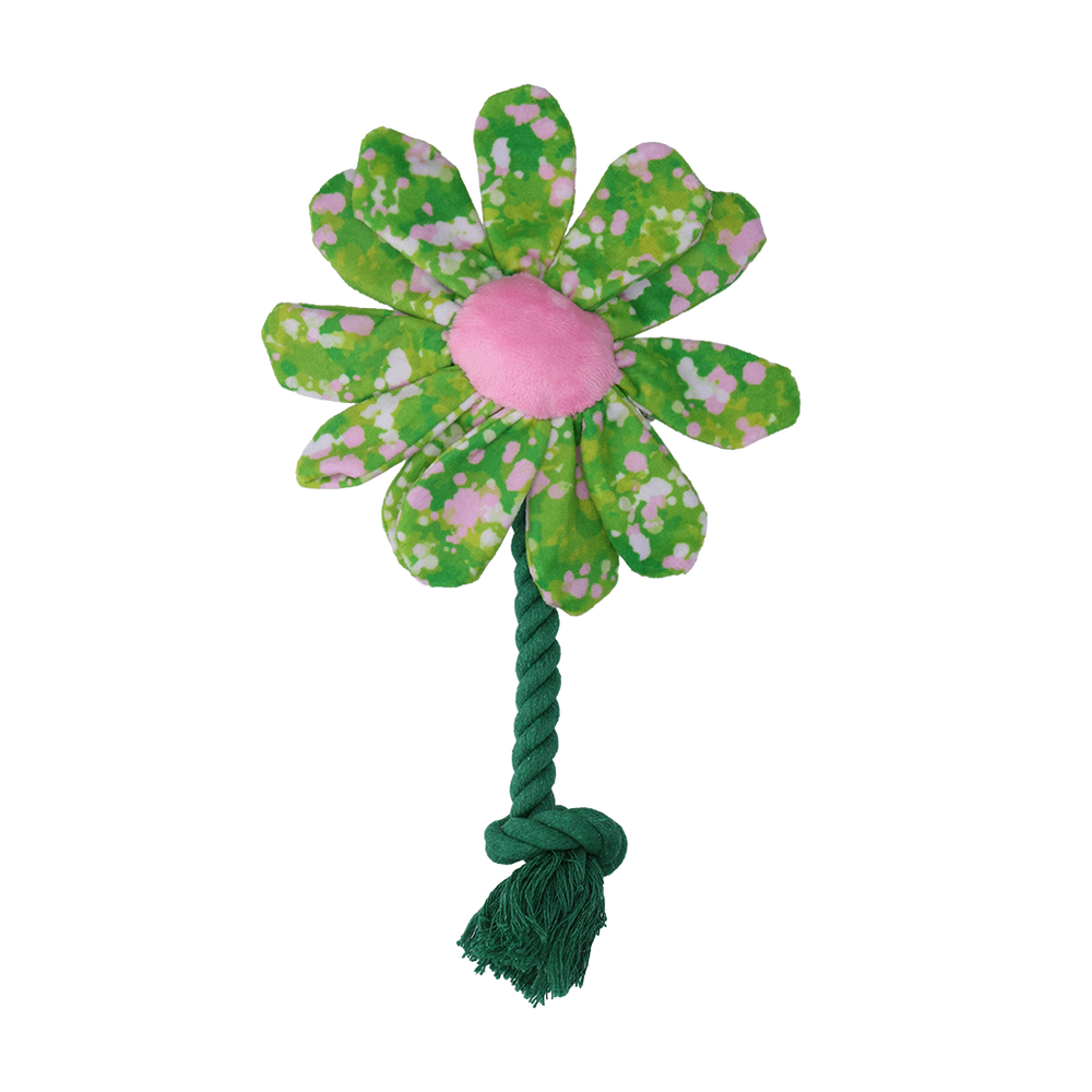Garden Paws Flower Summer Shrubs S