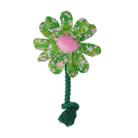 Garden Paws Flower Summer Shrubs S