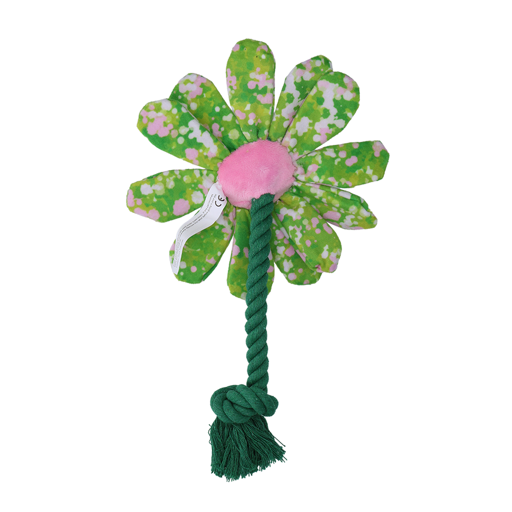 Garden Paws Flower Summer Shrubs S