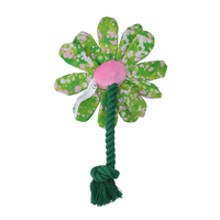 Garden Paws Flower Summer Shrubs S