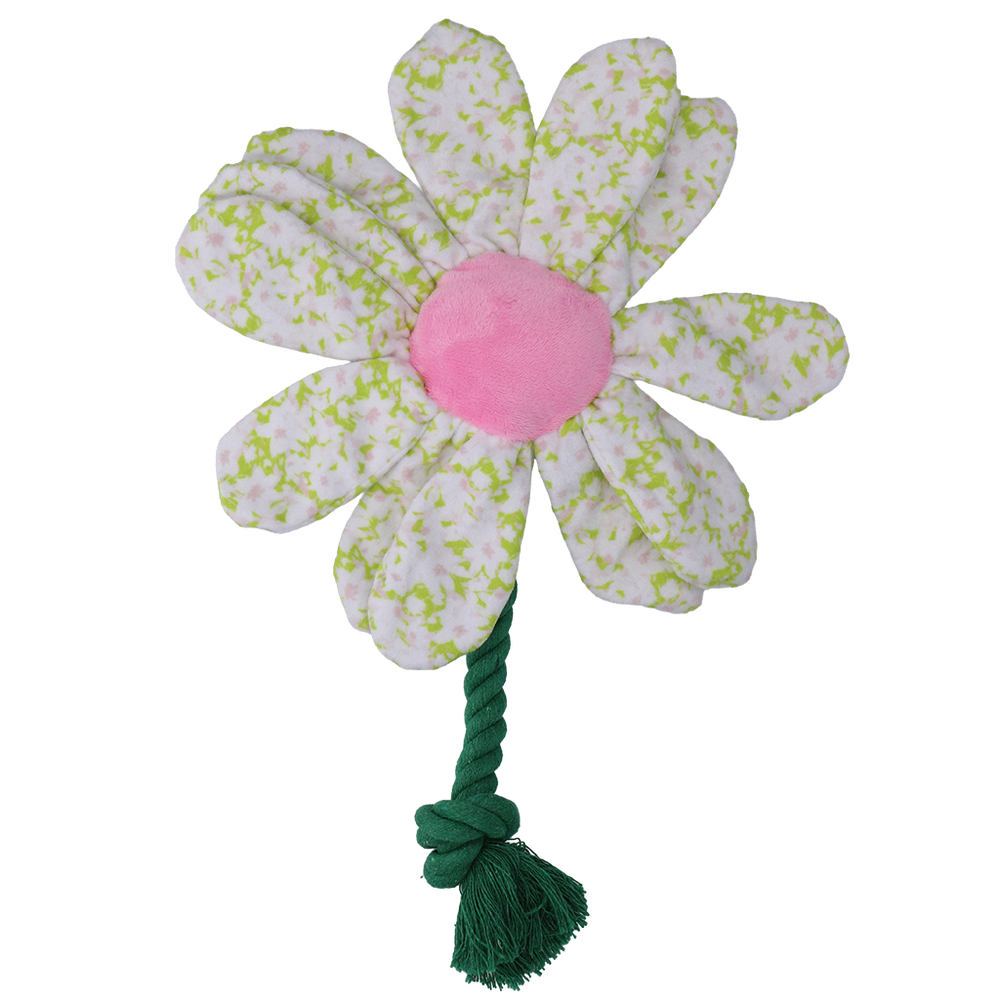 Garden Paws Flower Spring Sakura M
