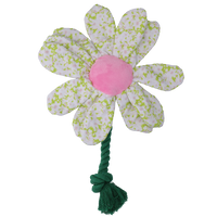 Garden Paws Flower Spring Sakura M
