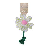 Garden Paws Flower Spring Sakura S