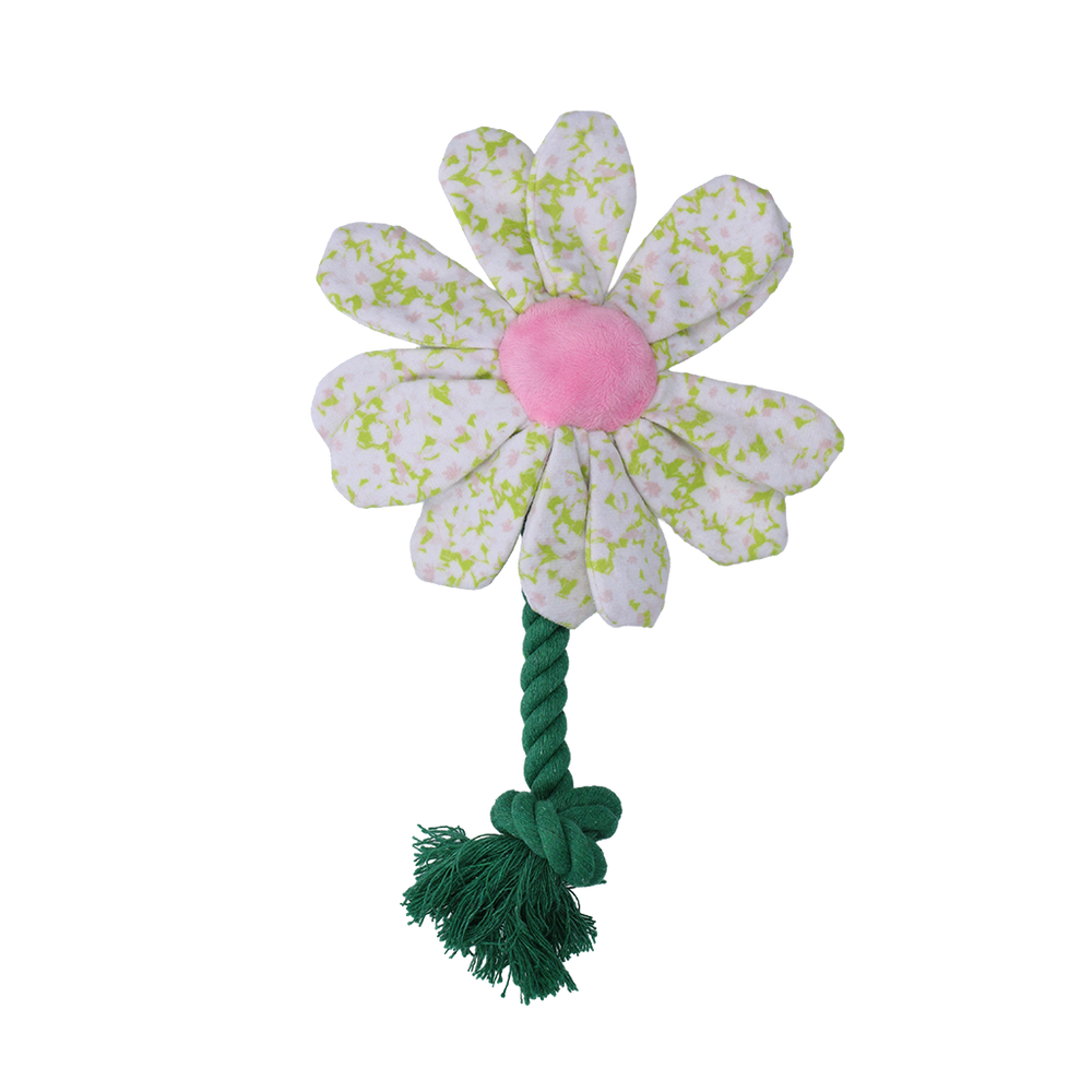Garden Paws Flower Spring Sakura S