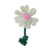 Garden Paws Flower Spring Sakura S