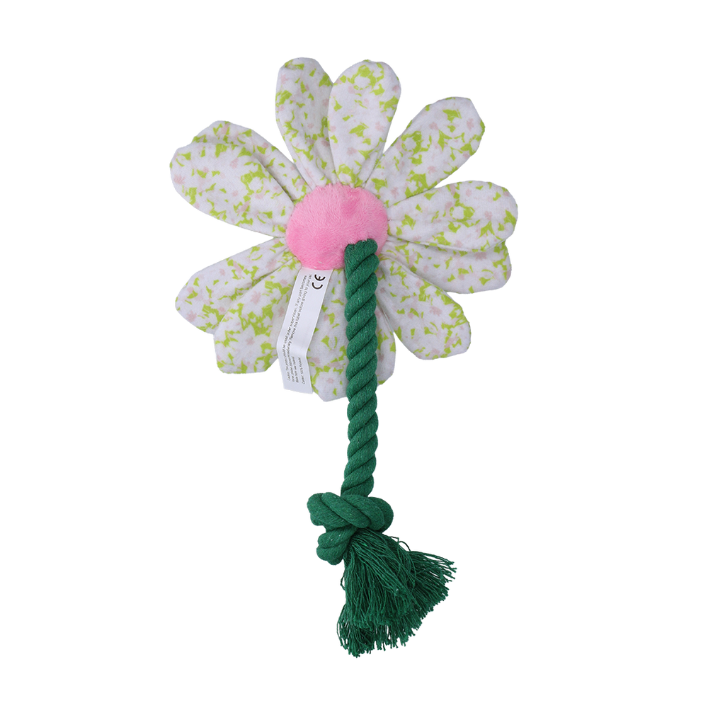 Garden Paws Flower Spring Sakura S