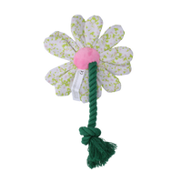 Garden Paws Flower Spring Sakura S
