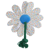 Garden Paws Flower Sky Flowers M