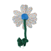 Garden Paws Flower Sky Flowers S