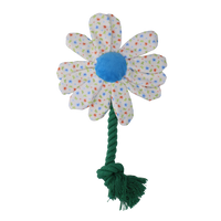 Garden Paws Flower Sky Flowers S