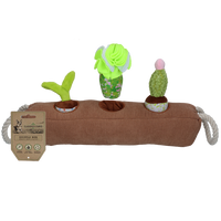 Garden Paws Snuffle Box Sprout, Crop & Cactus