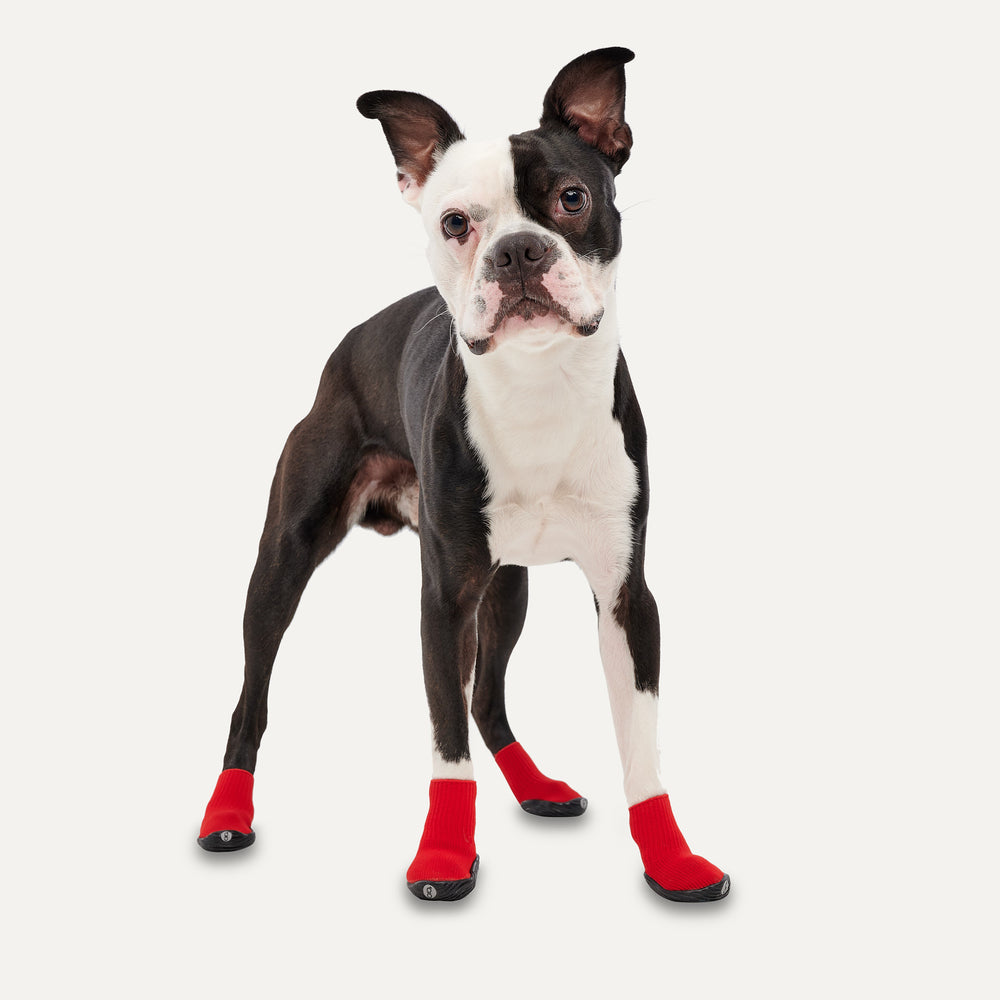 Goo-eez Dog Boots Ultras 2 Per Pack XXL Rood/Zwart