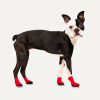 Goo-eez Dog Boots Lites 4 Per Pack L Rood/Zwart