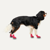 Goo-eez Dog Boots Lites 4 Per Pack XL Rood/Zwart