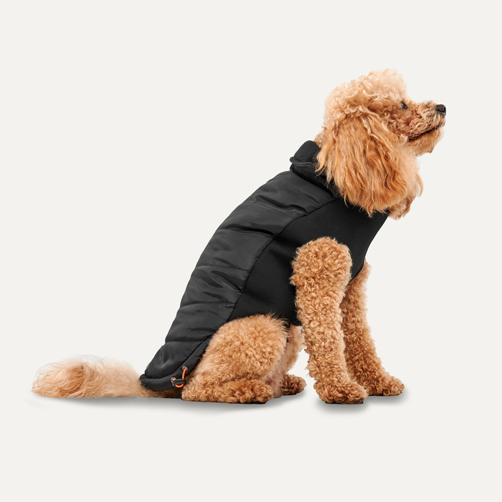 
  Goo-eez Mock Neck Signature Wrap Jacket XXL Zwart - artikelnummer GOOE050G

