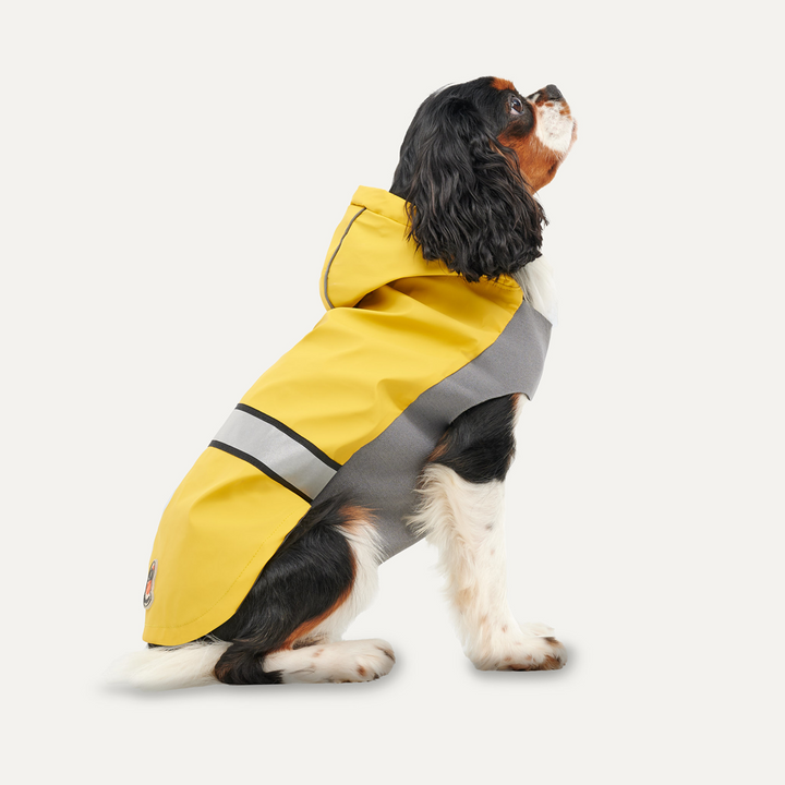 
  Goo-eez Reflective Hooded Raincoat XS Geel/Grijs - artikelnummer GOOE052B
