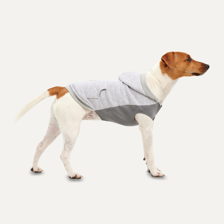 
  Goo-eez Kangaroo Fleece Hoodie S Grijs - artikelnummer GOOE053C
